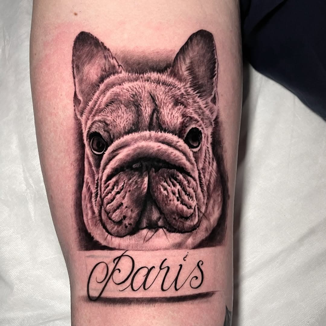 Paris 🐶