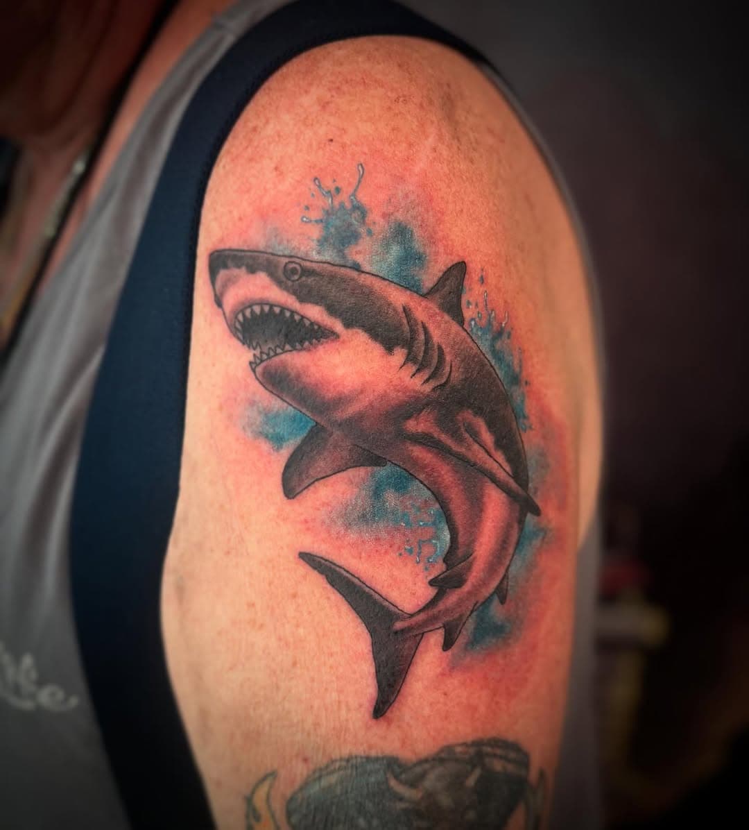 Richard came in for this Great White and @danahex was happy to oblige. Thanks for working with us Richard, enjoy your new tattoo. 🦈
:
.
.
.
.
.
.
.
:
.
.
.
.
#gracelandtattoo #wappingersfalls #hudsonvalley #hudsonvalleytattoos #hvtattoos #shark #sharkweek #sharktattoo #nytattooartist