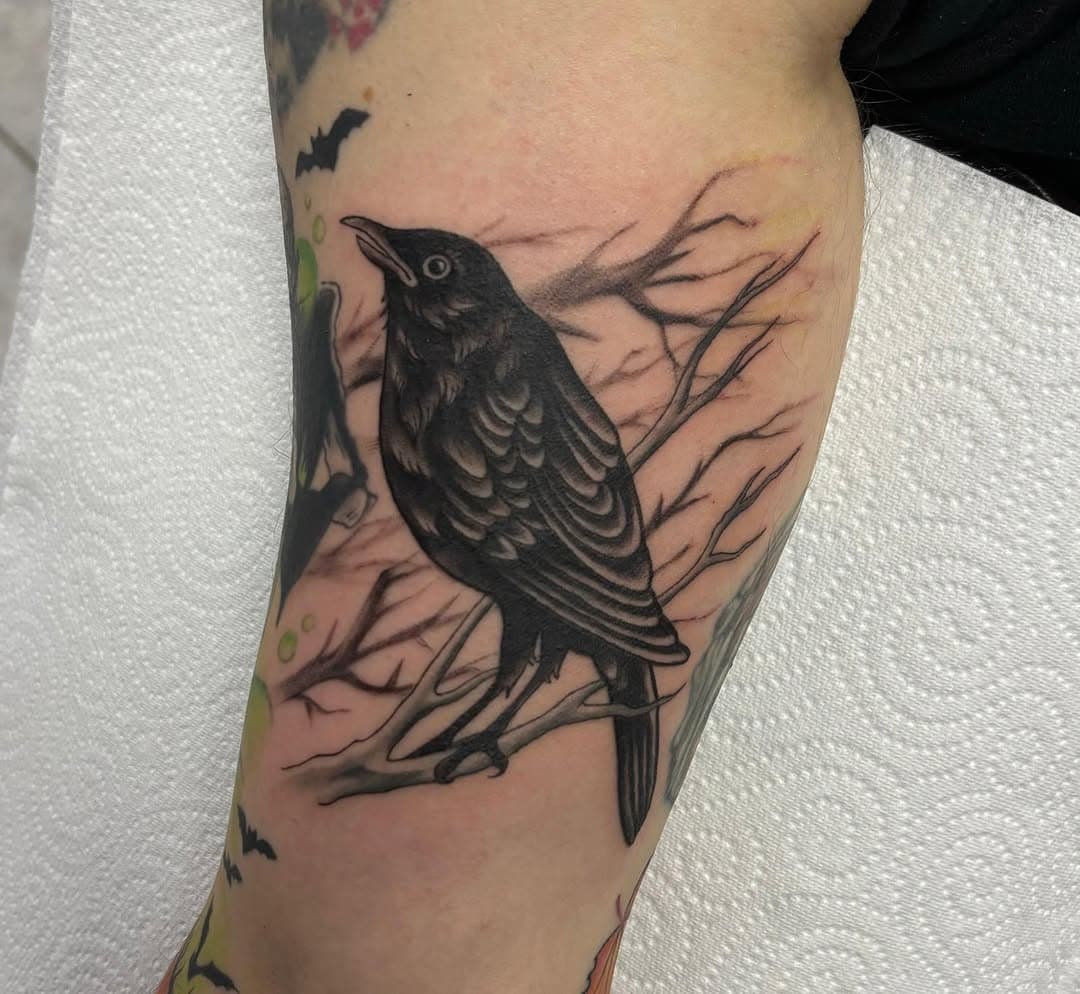 By Emilia 🐦‍⬛🖤

DM - Whatsapp - Email

📞07458301617
✉radford@grizzlyartcollective.com
📍210 Radford Road, CV6 3BQ