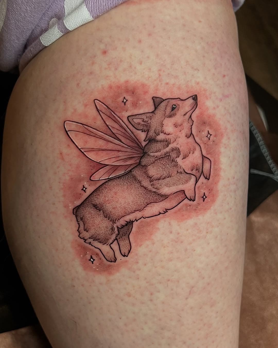 🧚 🐶 
•
@iloveyou.tattoo 
#tattoo #corgi