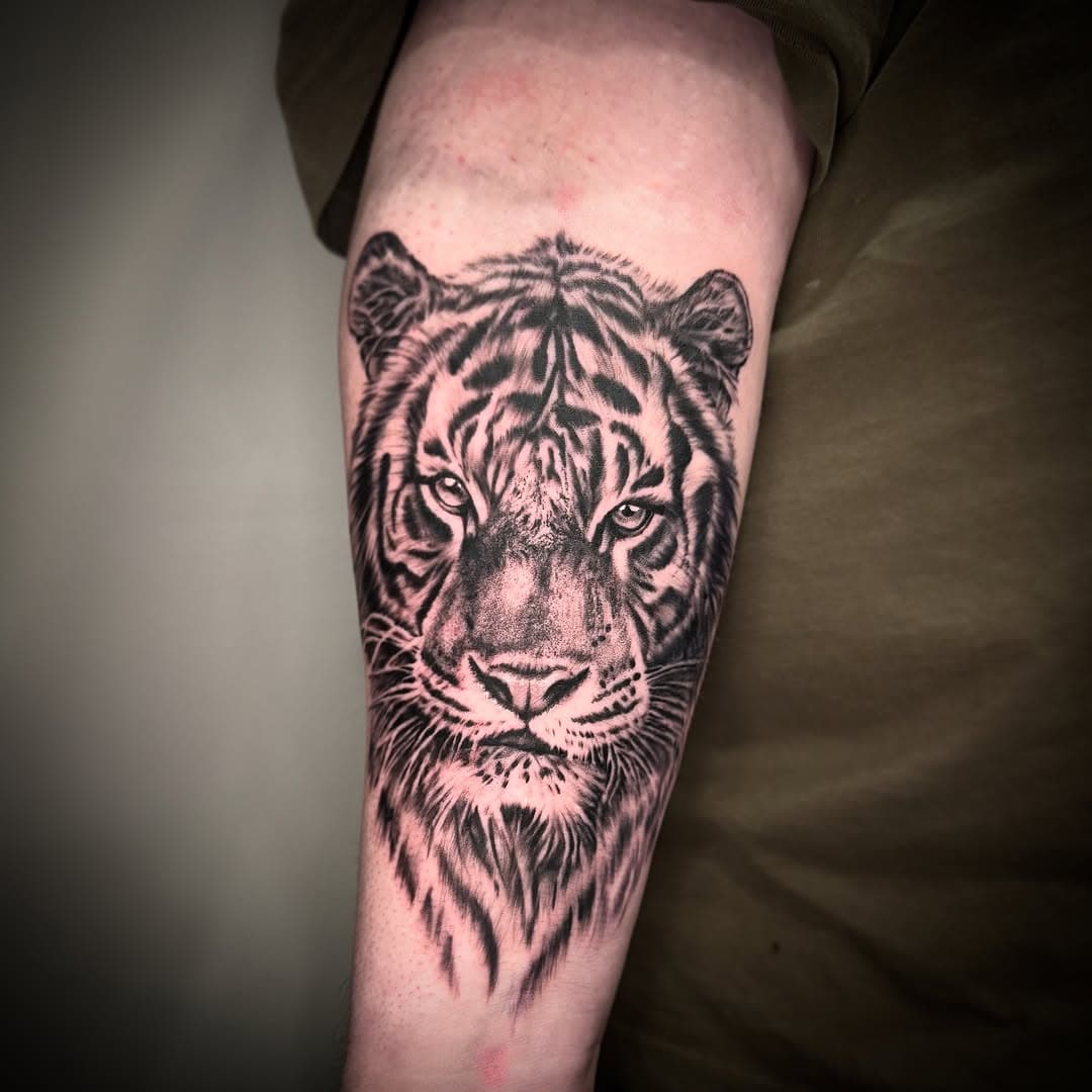 Please keep them coming! Animal portraiture is one of my favorite things to do! 

#zoomass #umass  #amherst #wmass #tattoo #blackandgreytattoo #tiger #portraiture