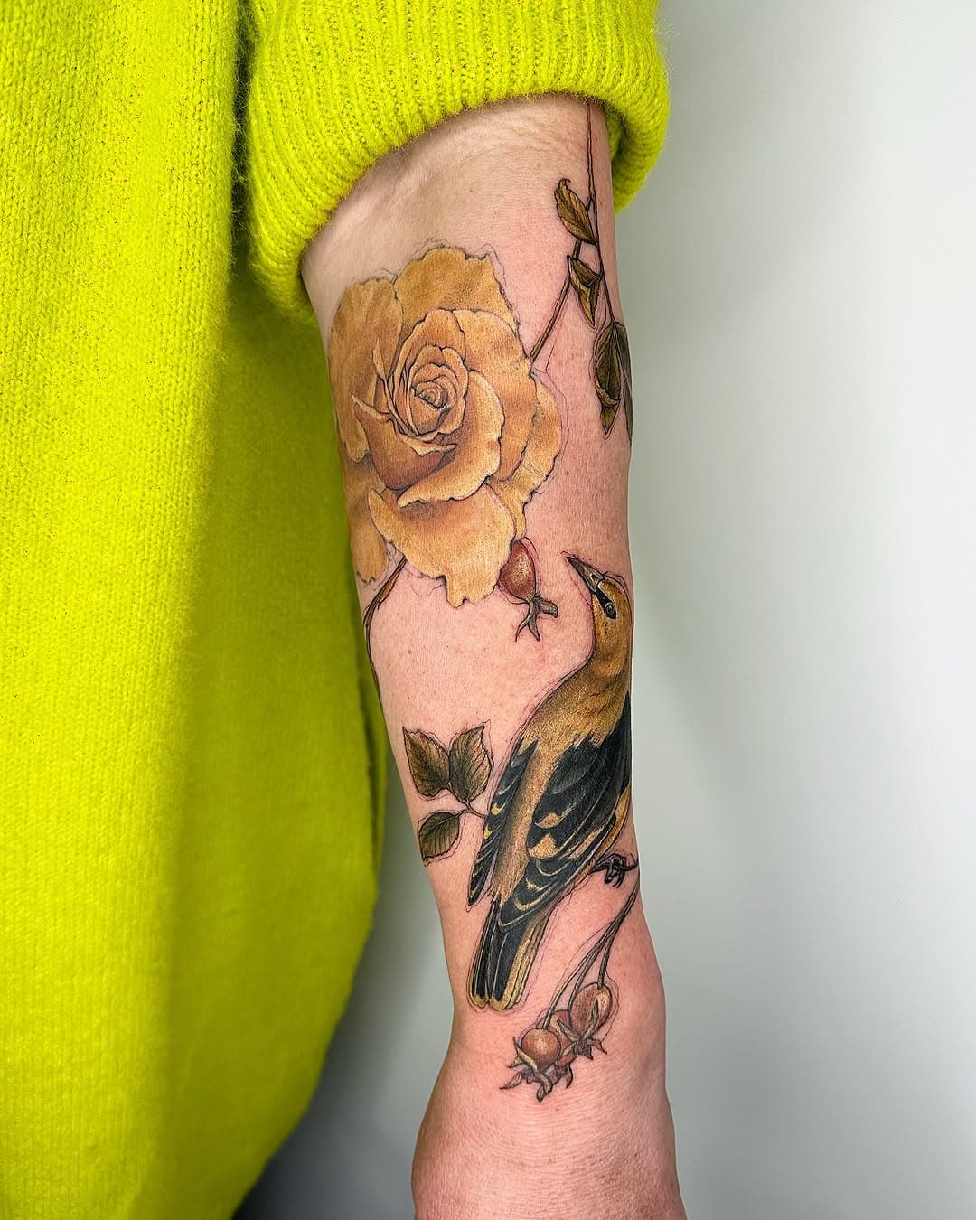 Added some wild rose hips and a golden oriole to Sam’s arm. Rose healed from last year 💛