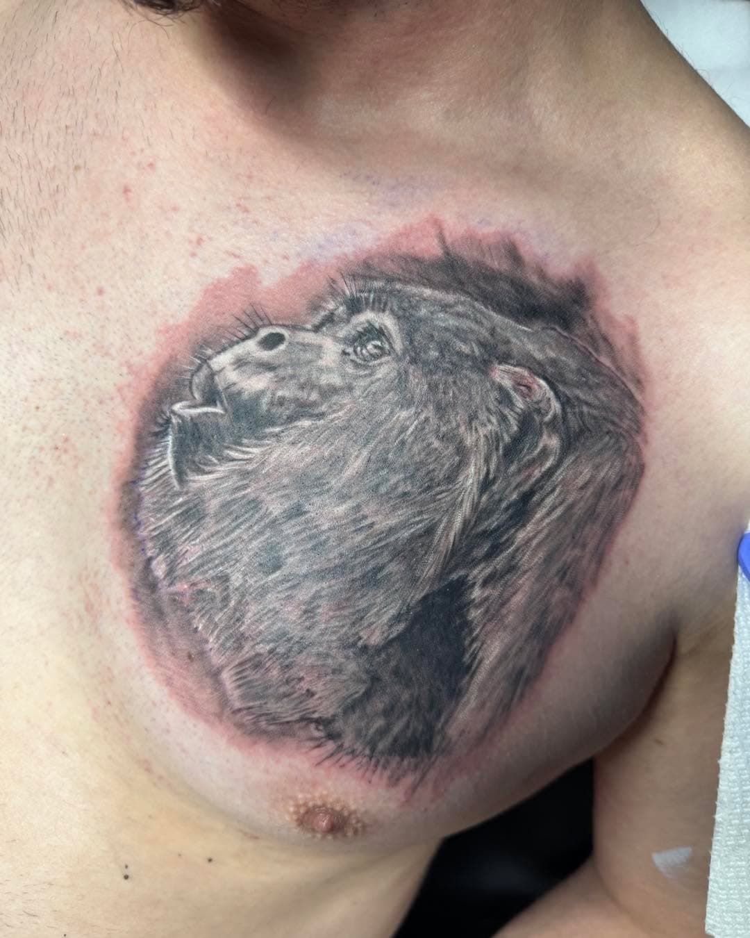 Incredible howling monkey piece done by Bobby! Interested in a realism tattoo? Stop by today to book your appointment!
Forsakenarttattoos.com
336-291-6447
2652 Randleman Rd, Greensboro
#checkitout #inktherapy #ink #foryoupage #nctattooers #nctattooartist #instagood #fyp #love #tattoo #tattoos #instagram #facebook #nice #nctattoos #foryourpage #ink #tattooartist #newmachine #vladbladmachines #fyp #hurtsogood #inked #vladblad #artist #love #facebookreels #tattoo #tattoos #sternumtattoo