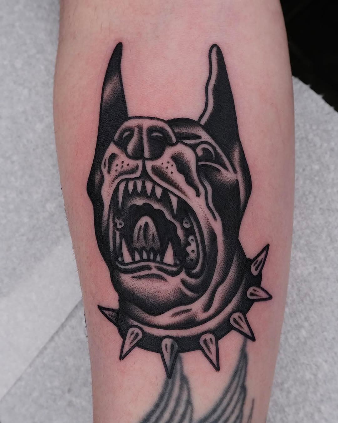 Angry doggo tattooed by @fouldstattoo
•
•
•
📨 DM for enquiries & appointments
🐝 Sponsored by @butterluxe_uk
•
•
•
#dobermann #traditionaltattooer #traditionaltattoos #oldschooltattoos #tradtattoos #uktattoo #oldtimetattoo #isleofwight