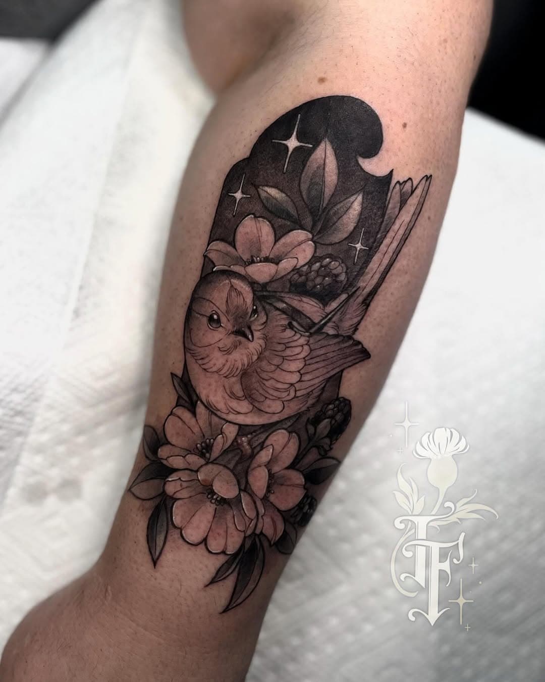A lethal cutie for Megan! 🗡️ ✨ from my designs but added a small dagger. I would love to do more adventure animals or birds! •
•
•
#ohioartist #ohiotattooartist #neotraditional #illustrativetattoo #neoromantic #neotraditionaltattoo #neoromantictattoo  #artnouveautattoo
#neonouveautattoo #vulcanneedles #fusianink #birdtattoo #fantasytattoo #redwall