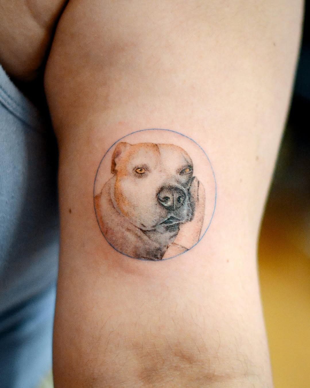 🐶-booking link in bio. @tattooist_jason @area6tattoostudio 
www.area6tattoo.studio
.
.
.

#tattooist_jason #area6tattoostudio #tattoo #tattooing #tattooartist #dog #pet #colorful #tattooist #tattoonyc #nyctattoo #tattooed #linework #healedtattoo #smalltattoos #tinytattoo #illustration #inspiration #fineline #tinytattoo #art #tattoolife #tattooideas #ink #inked #inklife #타투 #문신 #紋身 #刺青