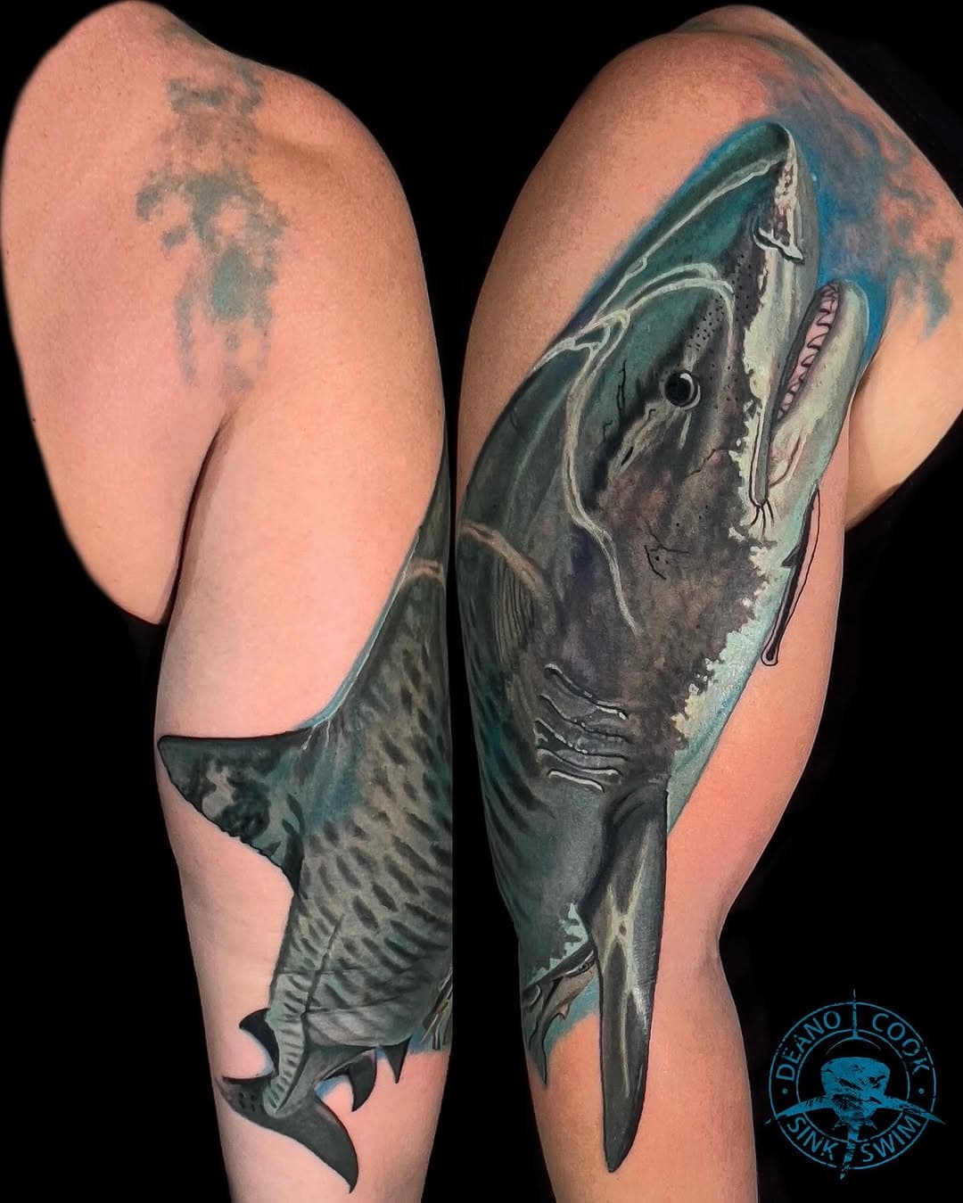 The start of a new #TigerShark full sleeve on Dana @zolihwig . I’m really happy with the outcome of our first visit together. I love the fact that this client flew into to me directly from Bimini where she had just been diving with #TigerSharks & Hammerheads. What a full circle adventure that she will never forget. If you’re curious about the soft blue border at the top, it’s part of my process I do to start the water ceiling to come next session after I add in some specific fish that are really important to her. I’m making this project using 100% my own #underwaterphotography. Thank you to her husband @jsnphotography for the great photos during this session. Much appreciated. 
@sinkorswim_studio 
SPONSORED BY:
@aftercareh2ocean
@h2oceanproteam 
@fusion_ink 
@fkirons 
@hivecaps 
@anchored_stencil 
#shark #sharks #sharktattoo 
#tigersharktattoo #oceantattoo 
#sealifetattoo #oceanart 
#deanocook
#deanocooktattoo
#deanocookphotography