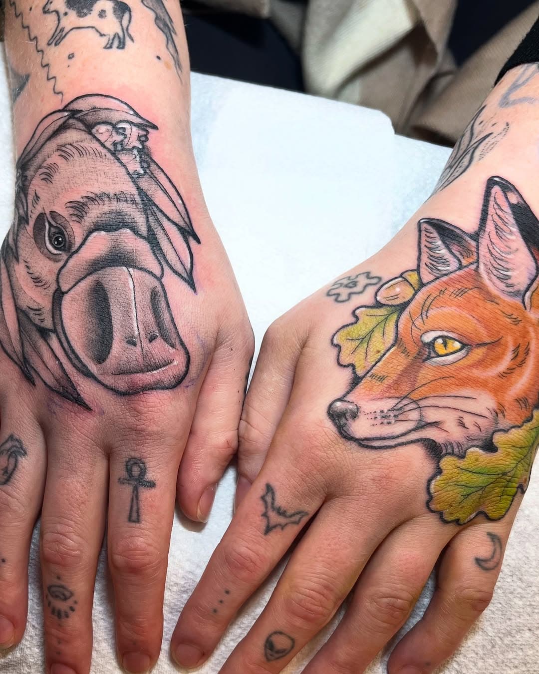 A couple of hands heading back to Aus with Erin, thanks for the trust girl! The platy and eucalyptus for her heritage and the fox and English Oak for her adventures and the friends she’s made here in Leicester/uk, Erin has a colour and a black and grey arm 🦊
#foxtattoo#platypustattoo#handtattoo#oaktattoo#eucalyptustattoo#animaltattoo#uktattoo#leicestertattoo#handtattoos#femaletattooartist#leicester#australiatattoo#northamptontattoo#derbytattoo#nottinghamtattoo#londontattoo#loughboroughtattoo#jobstoppers#