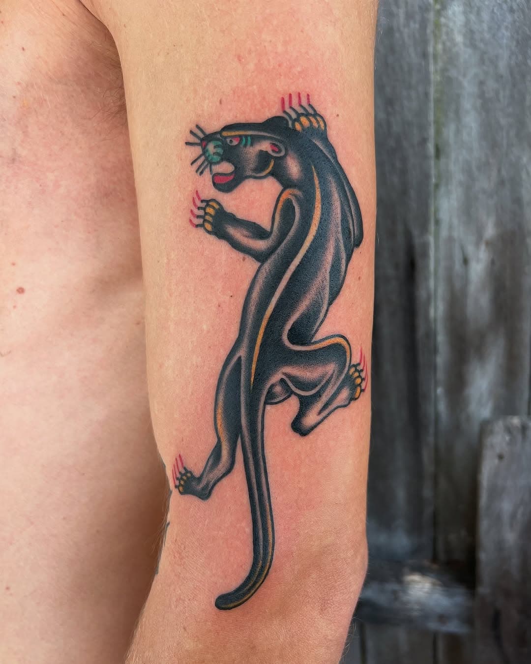 Sam with the casual last minute drive overnight from Newcastle to snag this panther.  Placed in the most classic of spots, great choice! Thanks for travelling bro, always a pleasure to see you!