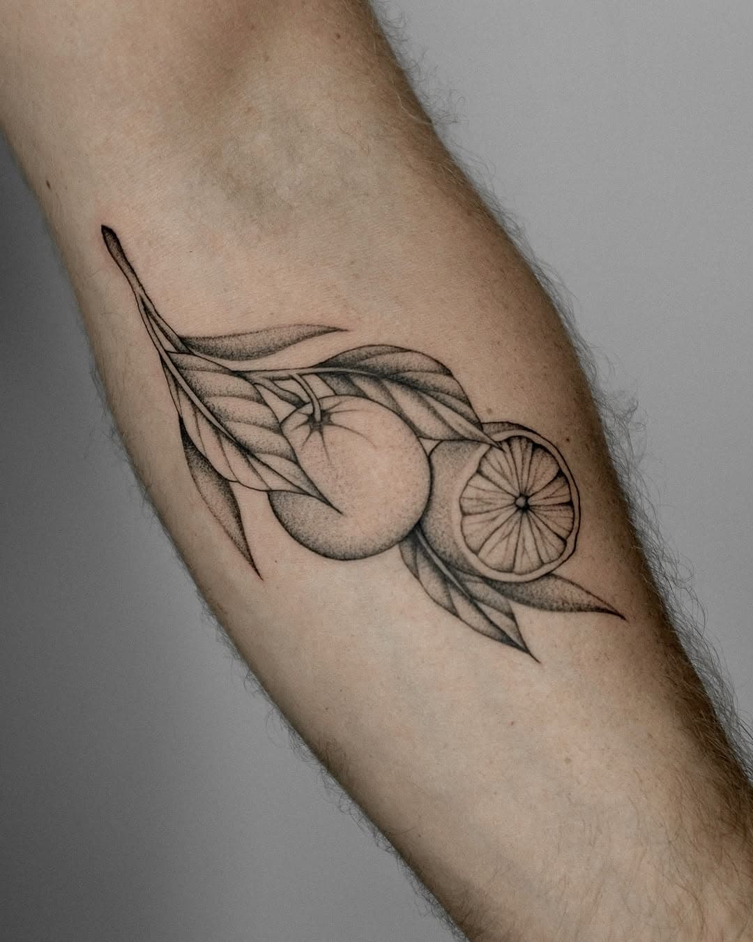 S I Z I L I A N I S C H E  O R A N G E N 🍊🇮🇹
WANNADO für meinen Hooby Italiener Pascal 🫶

Done @studio.monochrom 

#tattoowork #tattooingermany #tattooing #neotraditionaltattoo #neotraditionalartist
#moderntraditionaltattoo #neotraditionalart
#tattooneotraditional #finelinetatto #finelineartist #olackandgreyfineline #dotworktattoo #neworktattoo #bodyart #illustrativetattoo #sketchtattoo #artlovers
#tattooideas #tattoolifesti #inkedartists #sicilytattoo #sicilianorange #orangetattoo #orangedesign