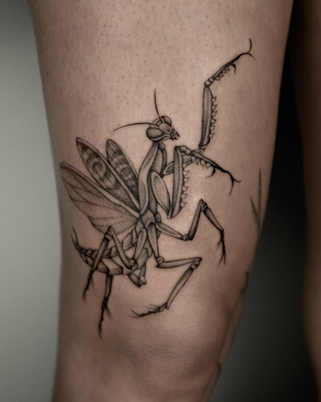 G O T T E S A N B E T E R I N ✨ 
Danke @johannamariee_ 🫶
❋ FUR TERMINE/ WARTELISTE DM SENDEN ❋

Done @studio.monochrom 

#tattoowork #tattooingermany #tattooing #neotraditionaltattoo #neotraditionalartist
#moderntraditionaltattoo #neotraditionalart
#tattooneotraditional #finelinetatto #finelineartist #olackandgreyfineline #dotworktattoo #neworktattoo #bodyart #illustrativetattoo #sketchtattoo #artlovers
#tattooideas #tattoolifesti #inkedartists
#surrealistictattoo #tattooartist #tattooedpeople #tattoodesign  #tattooinspiration #tattooculture