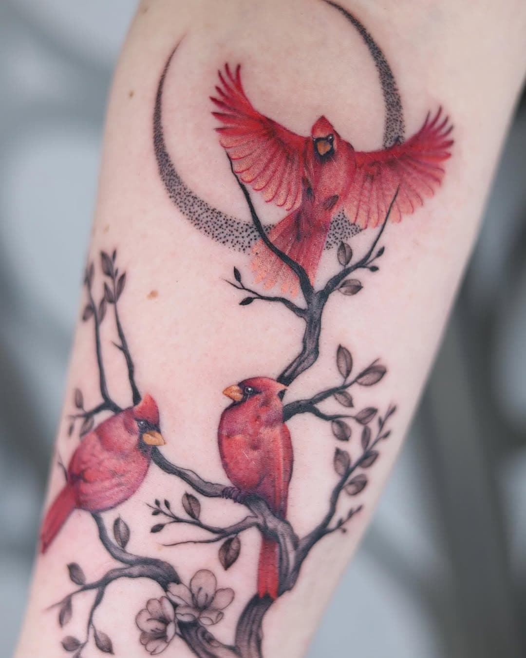 I love you to the moon and back representation with three cardinals 
Custom tattoo by yours truly @tattoo.faisal 

Done @enkitattoogallery 
————-
#michigantattooartist #michigantattooers #tattooshop #tattoostyle #tattoomodel #tattooedgirls #redinktattoo #floraltattoo #sleevetattoos #michiganders #finelinetattoo #tattooworld #tattoo #detroittattooartist #detroittattoos #midwesttattooartist #midwesttattoos #love #life #tattoodesigns #drawing #art #cardinaltattoo