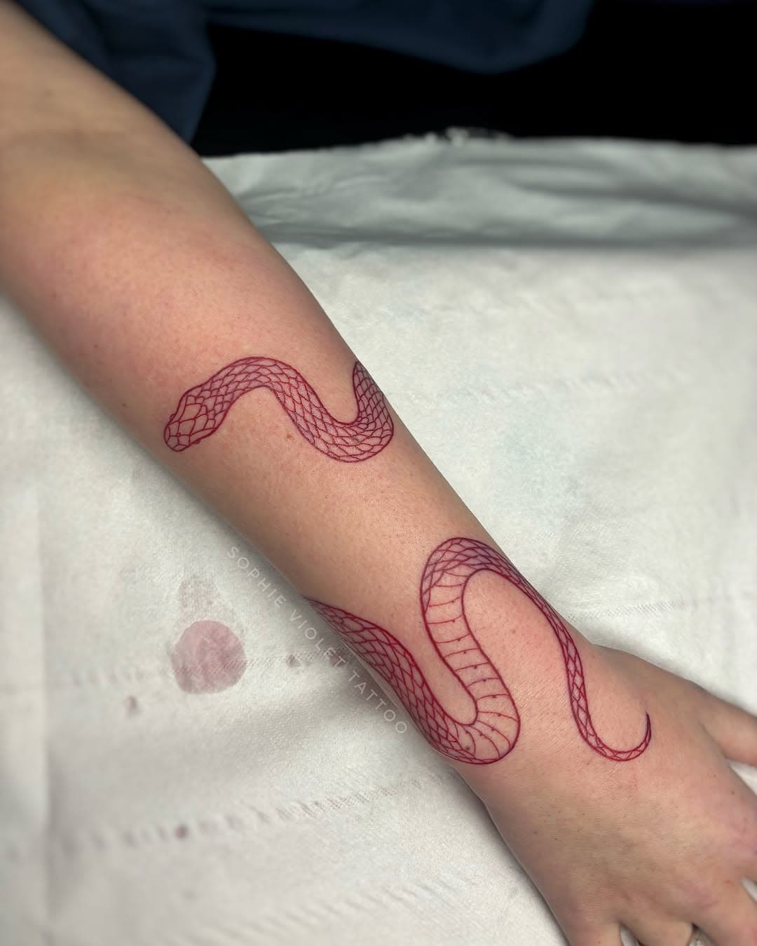 A cute little red snake cuff for Leah! 🐍 thank you so much for getting this cute little guy! 💖
•
•
•
#snaketattoo #redtattoo #liverpooltattoo #fineline #finelinetattoo #finelinetattooartist #lineworktattoo #linework #wristtattoo #manchestertattoo #tattoosofinstagram #armtattoo #tattooidea #tattooist