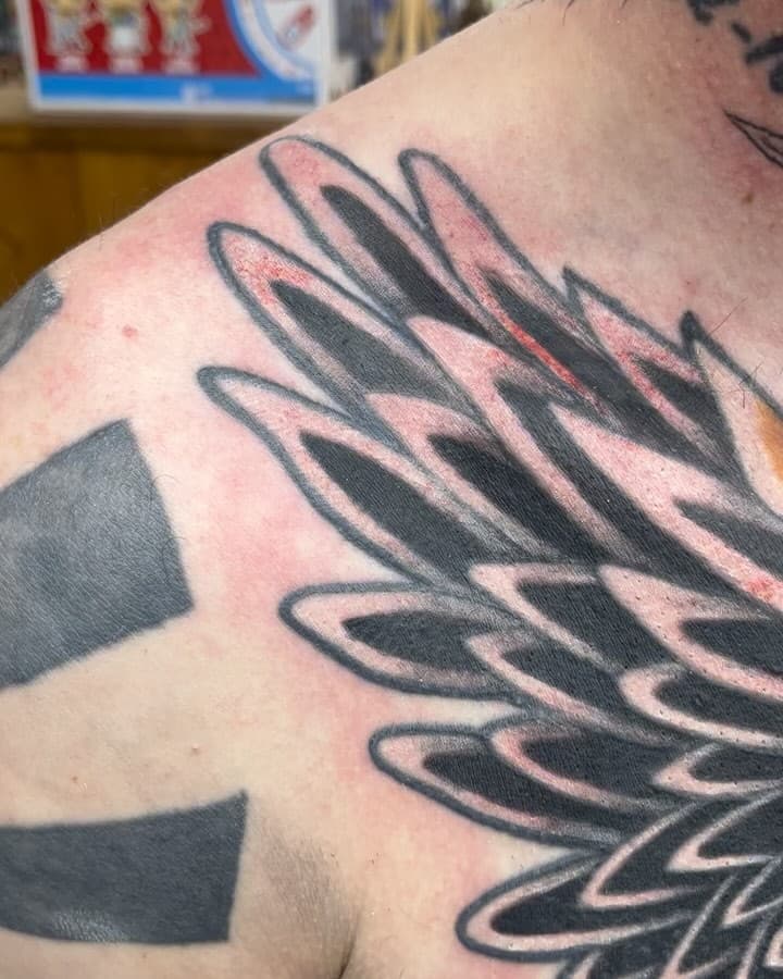 Original outline not done by me* … Adding more to this traditional piece, lower colour healed, top part fresh and a lil healed in some parts. 🤓
.
#tattoo #traditional #eagle #snake #traditionaltattoo #art #traditionalcolortattoo #chesttatt #skull #colour #colourtattoos #artist #tattooapprentice #inksentialtattooaftercare⚓ #morelikethisplease