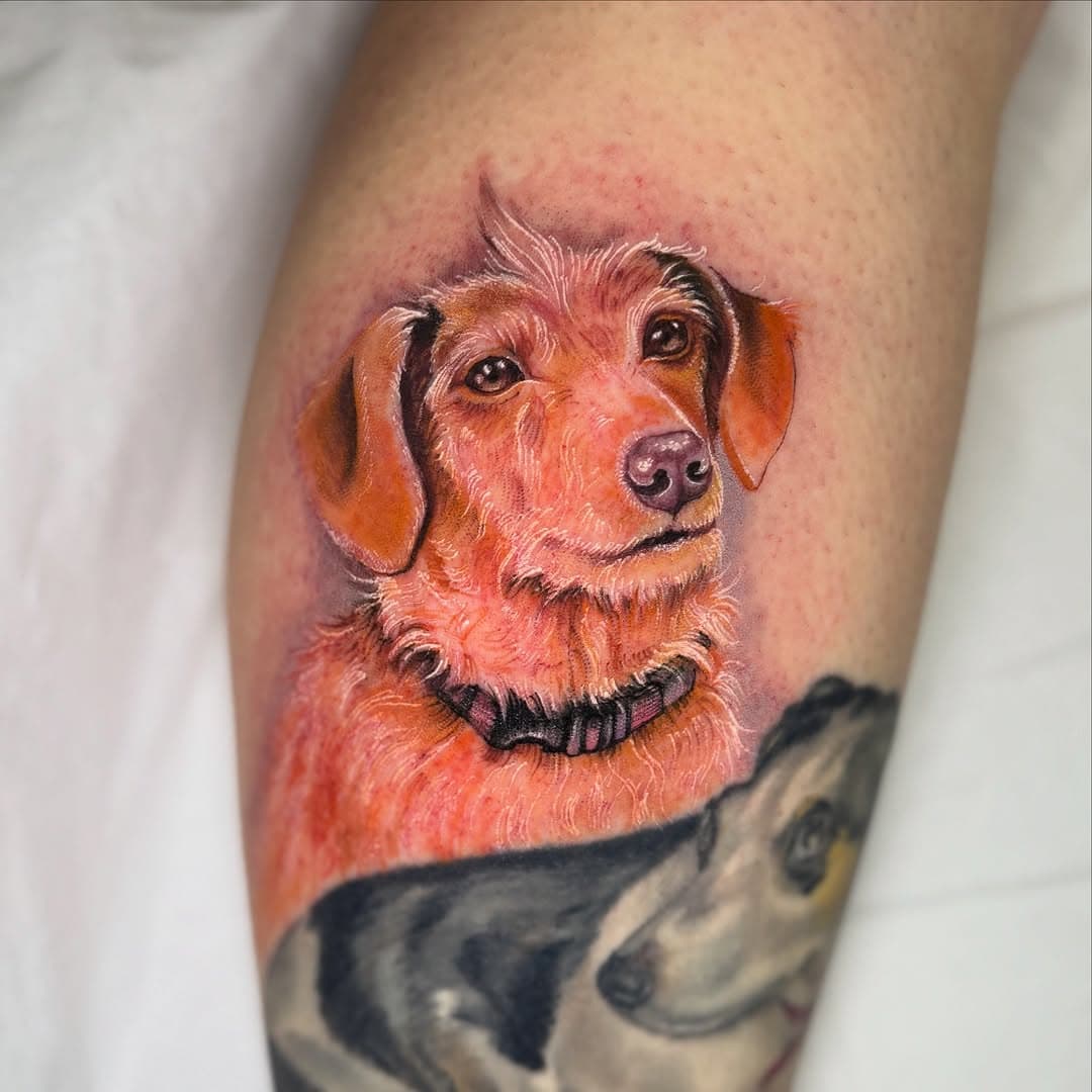 I got to tattoo @icantbelieveits_butter ‘s (unofficial) twin the other day! This is Chloe and she’s an absolute stunner!🩵🩵🩵