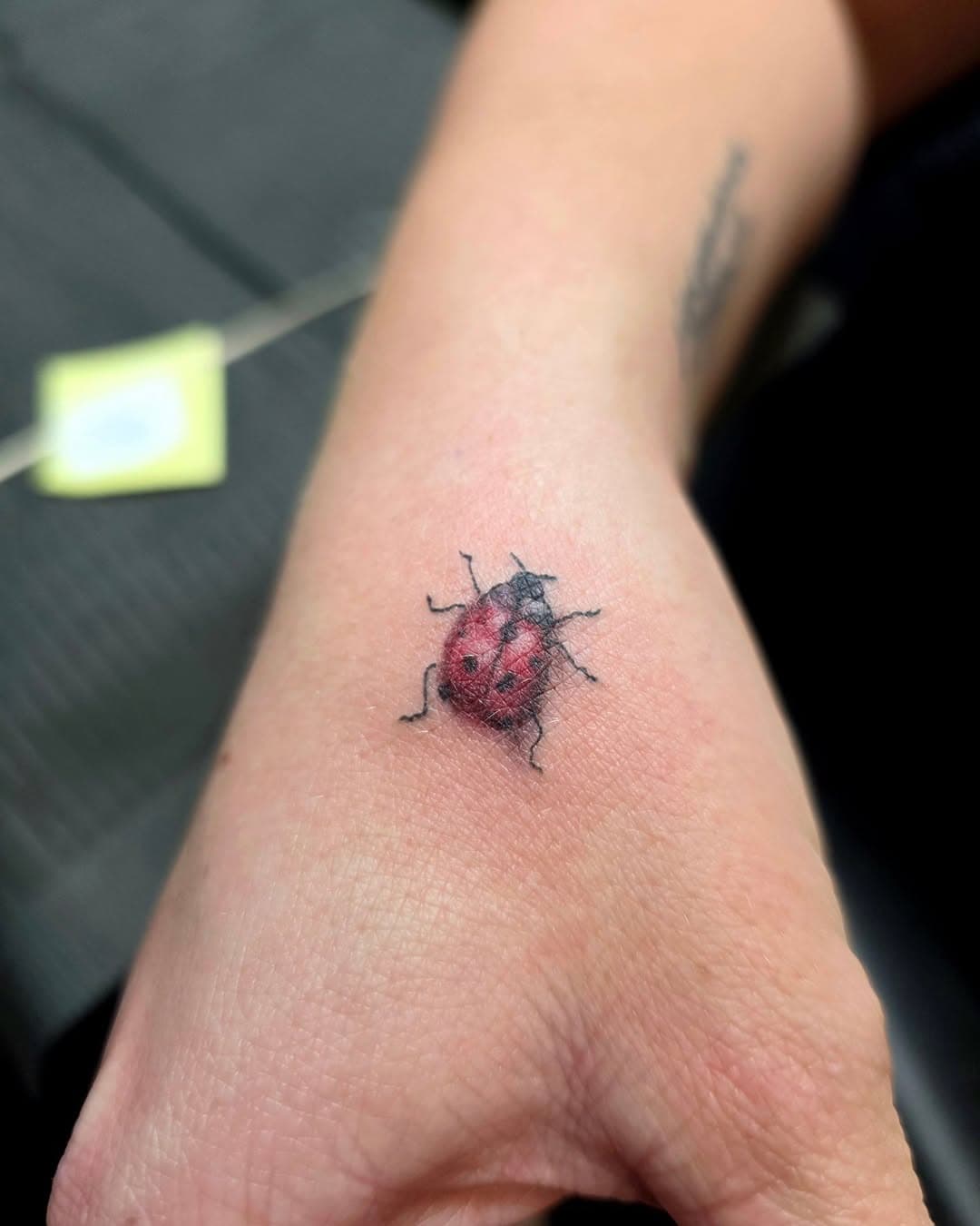A little ladybug 🐞 

#inkdreams #ink #collegestation #texas #brazosvalley #inkedgirls #inkmafia #inklife #aggies #tattoo #tattoos #tattooideas #texastattoo #tattooideas #cstat #aggies #newtattoo #inkedguys #femaleartist #blackandgrey
