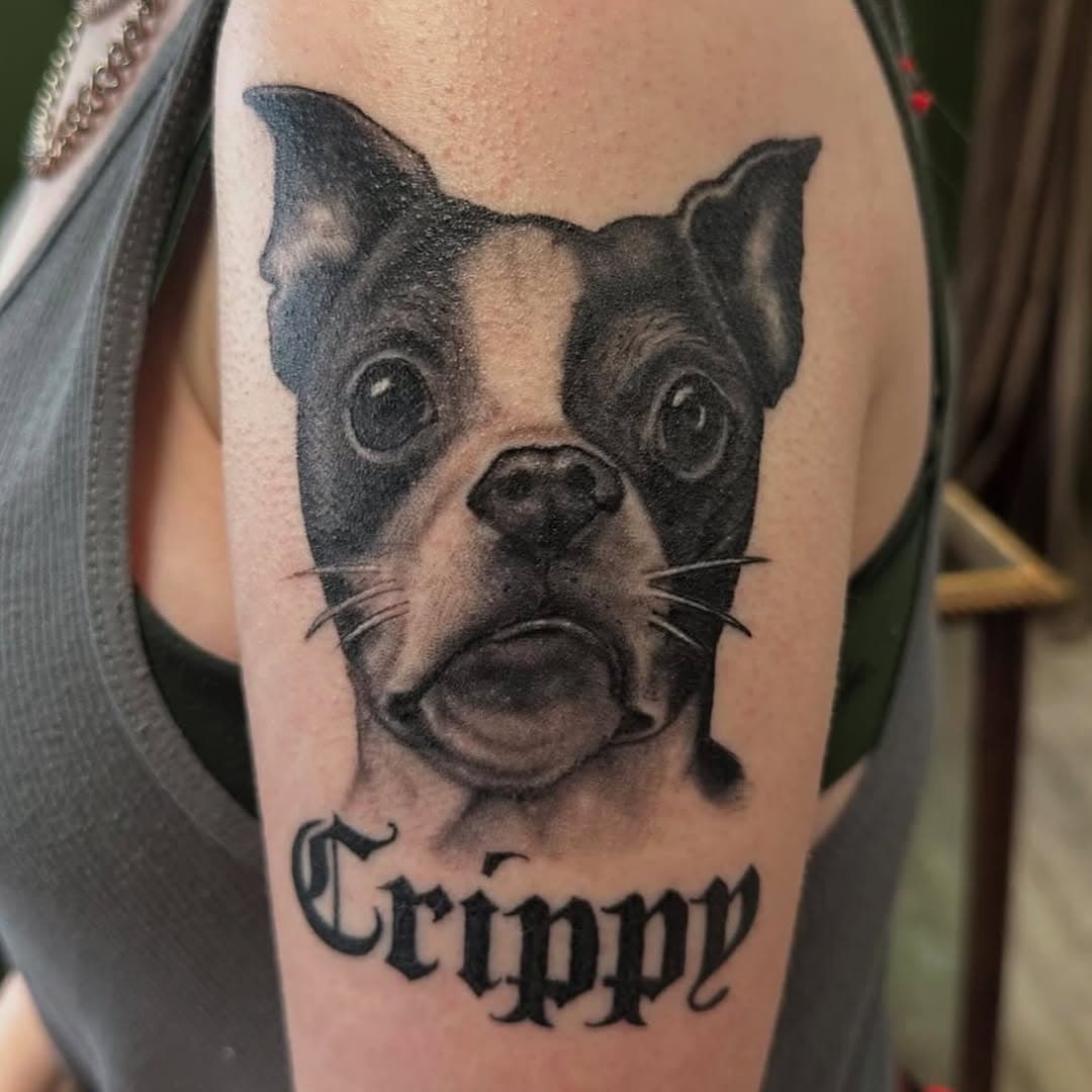 Healed pet portrait 
Made by: @incognito_will 
.
.
.
.
#tattoo #ink #inked #tattooart #tattooartist #tattoolife #tattooed #tattoodesign #tattooed #tattooersofinstagram #artistsoninstagram #incognitotattoostudio #pennsylvaniatattoo #pennsylvaniatattooartist