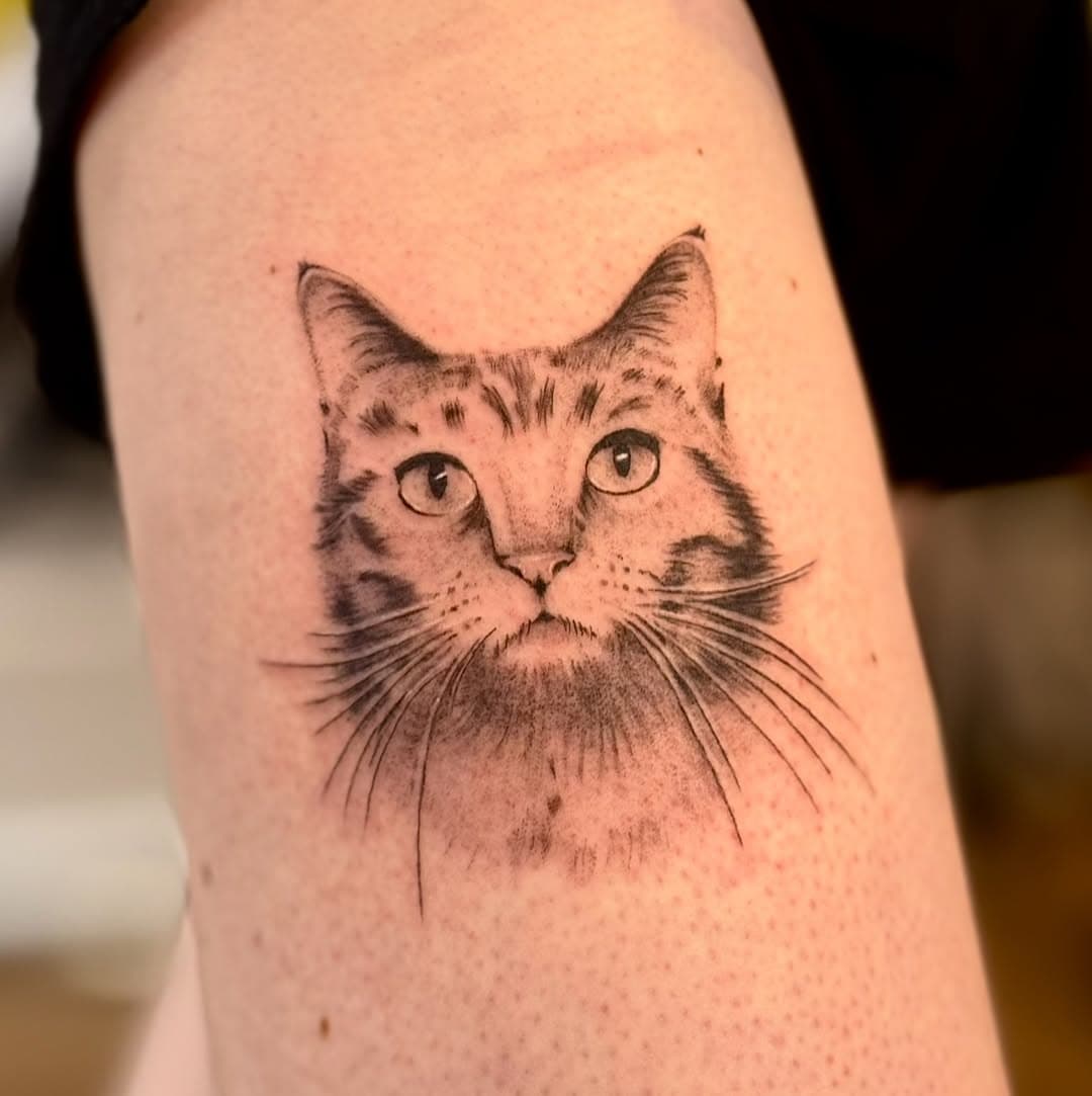 I love cats and I love cat people