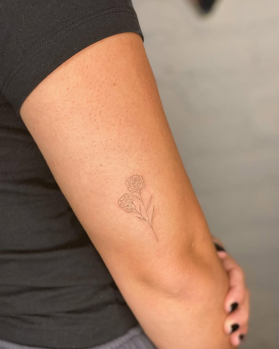 ᶜᴬᴿᴺᴬᵀᴵᴼᴺ 💐
.
.
.
.
#carnations #carnationtattoo #singleneedlecarnation