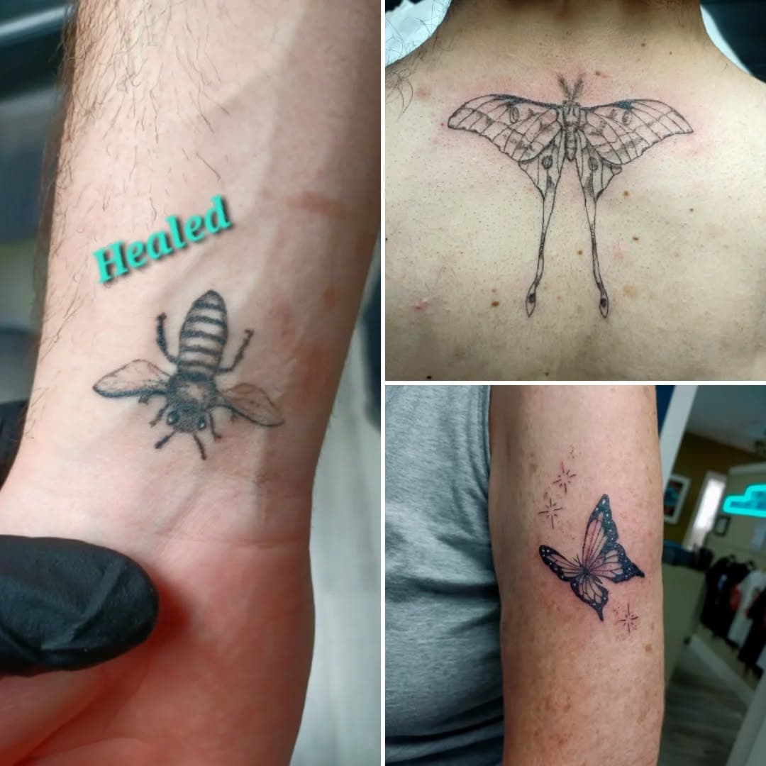 One healed and two fresh insects - it's aaaaaalmost spring!! 🦋🐝🐞🕷🌷

#tinytattoo #insecttattoo #3rl #butterflytattoo #lunamoth #pollinators #neaturetattoo
