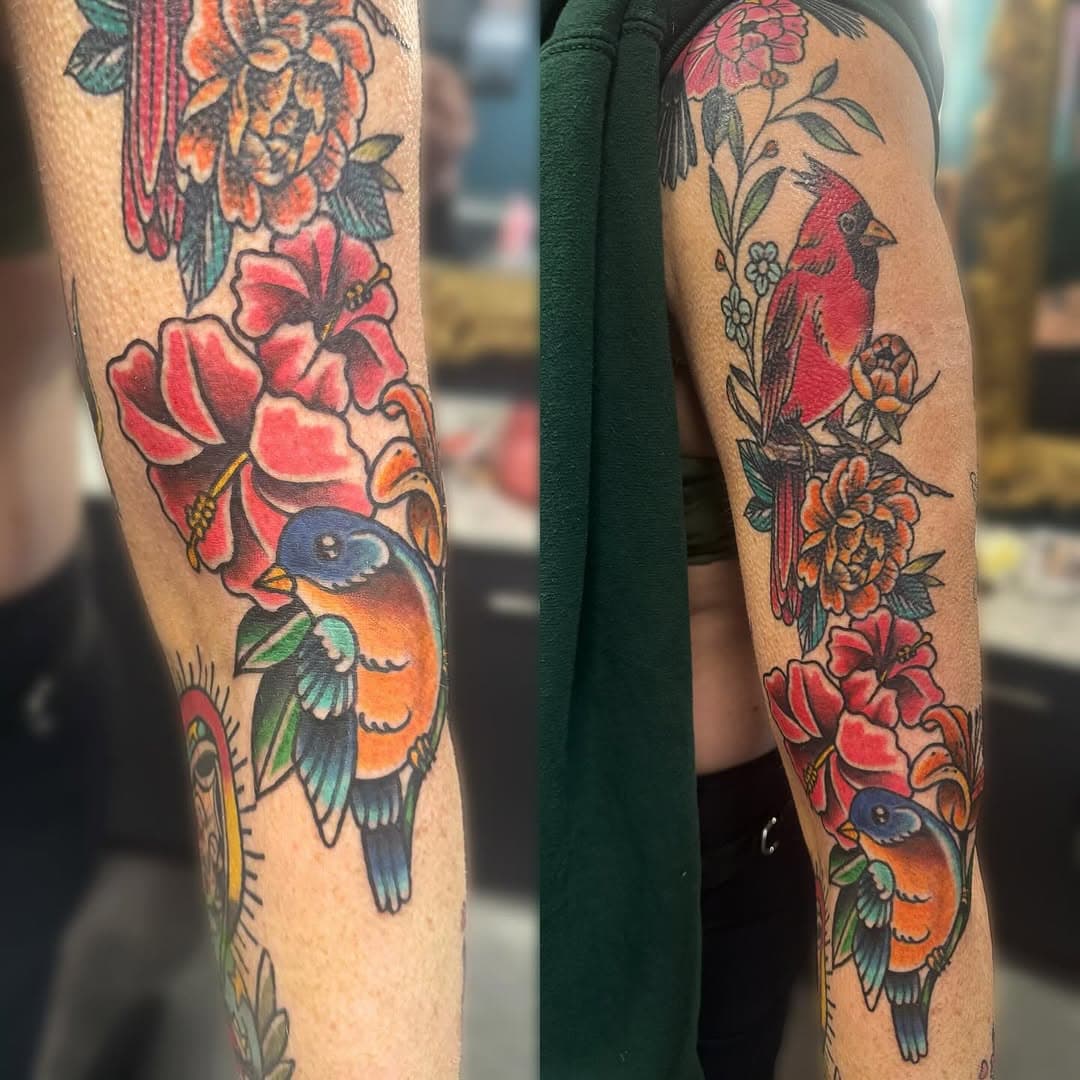 Bluebird fresh // cardinal healed 🩷