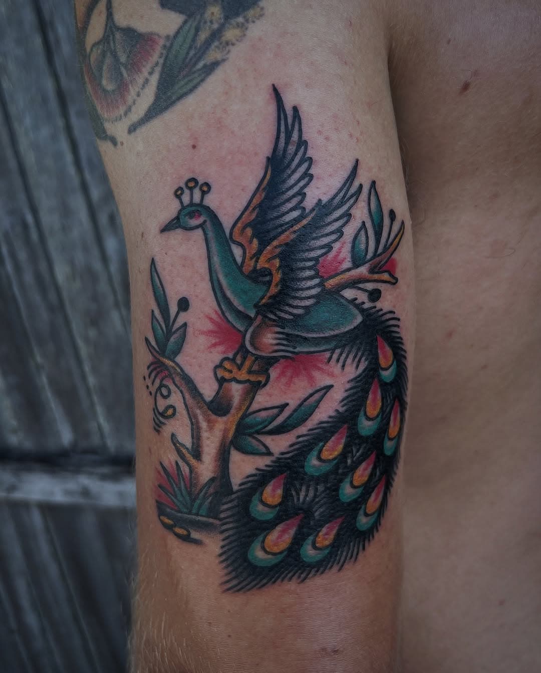 A custom drawn peacock for Luke thanks bro!
 My books are open and I’ve got a few more available appointments for April and May. Follow the link in my bio to make a booking.