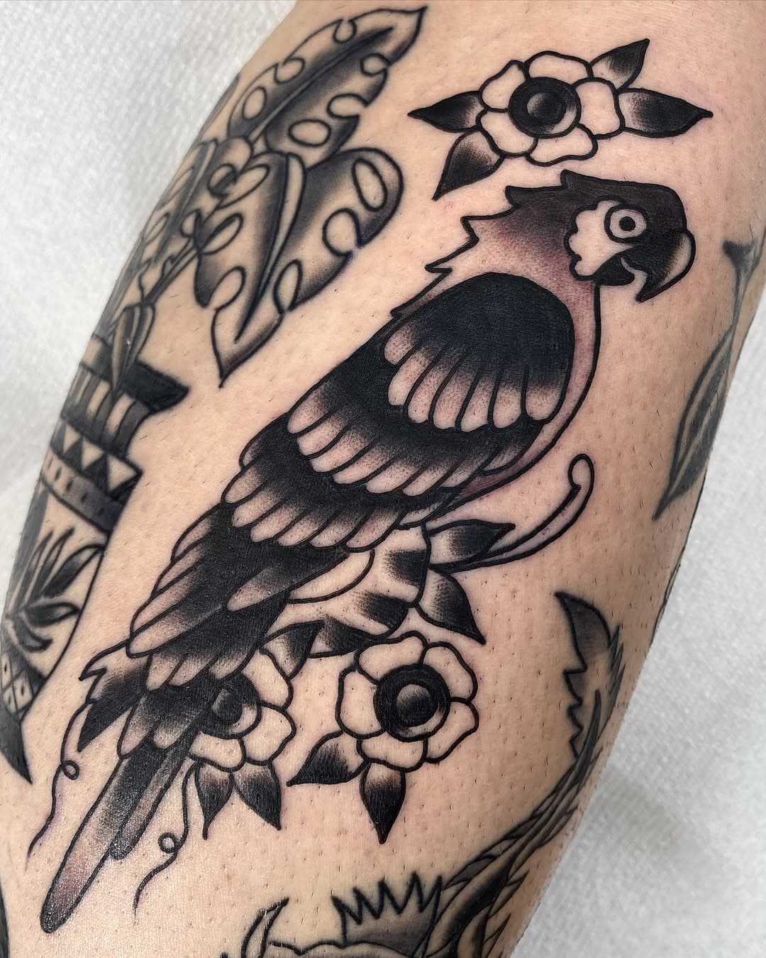 Gaps filled ✔️🦜

Dm to book for March/April 📩

@beachandink