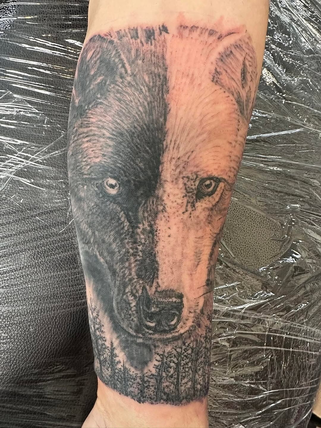 Really fun black and white wolf on Joey Carnes today.  Super awesome guy I have a great time whenever he’s in here.