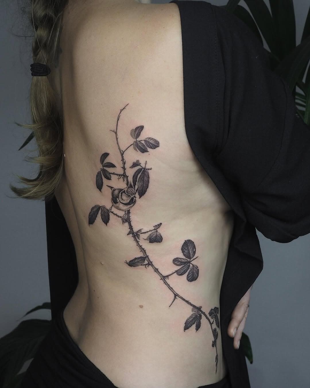 Crested tit and bramble branch for the lovely Eleanor