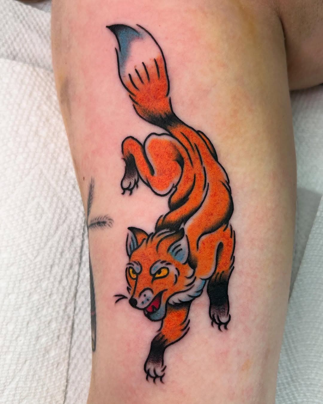 Fun little fox!! 

🦊 Linktree in bio for bookings or walk-in @rippdcanvas 🦊
.
.
.
.
#tattoo #traditionaltattoo #baltimoretattooartist #queertattooartist #qttr