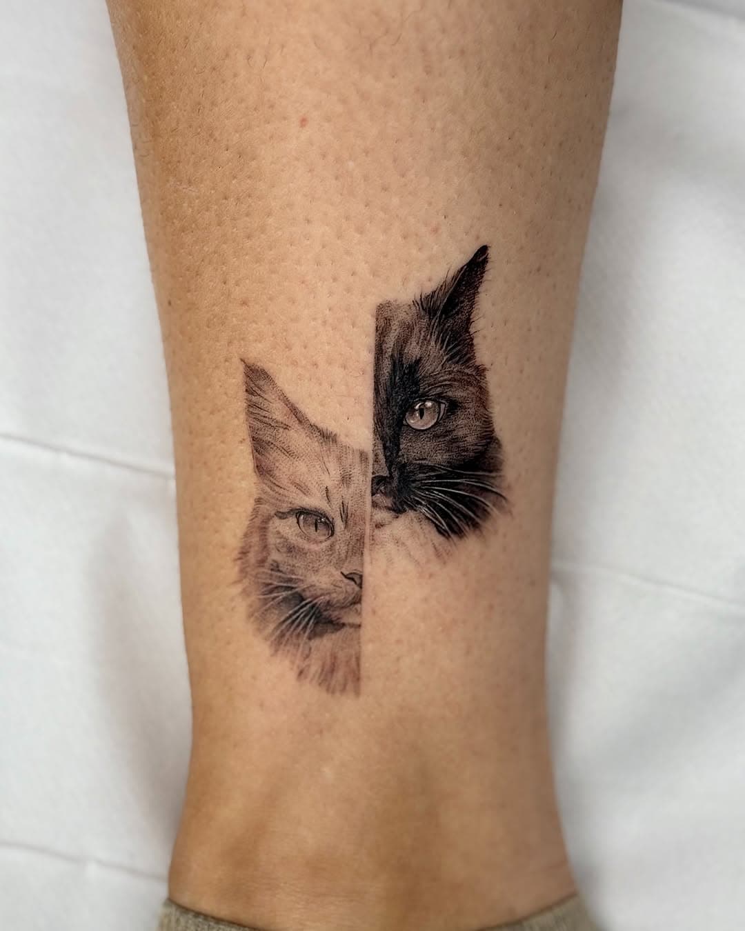 I love tattooing micro pets!!! 😺 thank you so much @lucyy_lambert for asking me to tattoo these 2 cuties!🖤 you sat amazingly and I loved looking at their wee lil faces 🥰 

Sponsored by @butterluxe_uk @getink.app @wbjtattoo 

#tattoo #tattoos #blackworktattoo #petportrait #realismtattoo #microrealism #littletattoo #cattattoo #pettattoo #blackwork #essextattoos #londontattoos #uktattoos #uktta #uktattooist #femaletattooist #tinytattoos #finelinetattoos