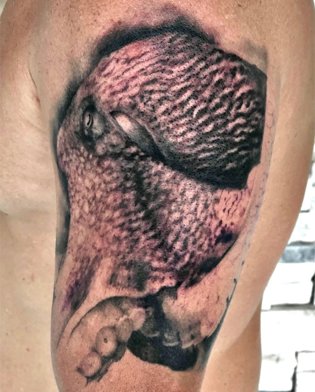 By artist Peter Joseph @thrashguitar 
..
..
..
#tattoo #tattoos #tattooed #tattooshop #tattooartist #tattoostyle #tattoooftheday #tattoosofinstagram