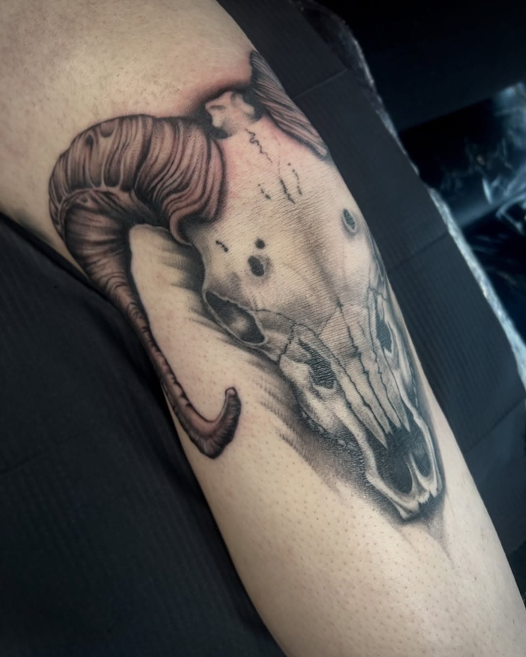 We started the front of Abbie’s leg sleeve with this ram skull on the knee a while ago and finished it this week. 

I’m currently taking booking for my flash pieces and black and grey too 🖤

Thank you Abbie! 

Proudly sponsored by:
@ezcartridgecouk 
@yayofamilia 
•
Using:
@bishoprotary @worldfamousink @Criticaltattoosupply @forgedbymeta @Killerinktattoo @Barbersdts

 #uktattooist #tattooartist #tattoosofinstagram 
#darkart #blackandgrey #blackandgreytattoo #bngtattoo #tattoos #uktattoo #uktattooist #blackwork #darktattoos #ink #drawing #painting #tattooart #tattooing #sleevetattoo #tattoolife #tattoosnob #tattoosofinstagram #realism #realistictattoos