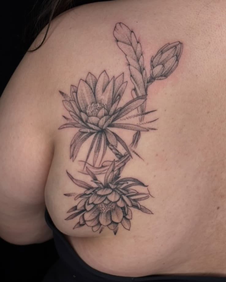 Beautiful Dragon Fruit tattoo by the one and only @tattoobirdie . Send him a DM to get started on your next floral piece #flowerking #flowertattoo #morenovalleytattoo #movaltattoo