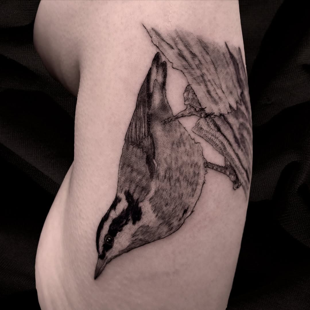 Happy Spring Equinox 🌸 Here's a sweet nuthatch tattoo by @cognitronic for the first day of spring and a reminder that our Emerge Art Show is happening THIS SATURDAY! Stop by the gallery from 4-7 to celebrate the season with brand new art by 6 local artists, live music, treats, and a giveaway!

Every $20 you spend at the art show is a chance to win a $100 gift card you can use on a tattoo or in the gallery ✨ Hope to see you there!

#birdtattoo #nuthatch #animaltattoo #animalartist #birdartist #pnwart #pnwtattoo #realismtattoo #artshow #artevent #springart #springequinox