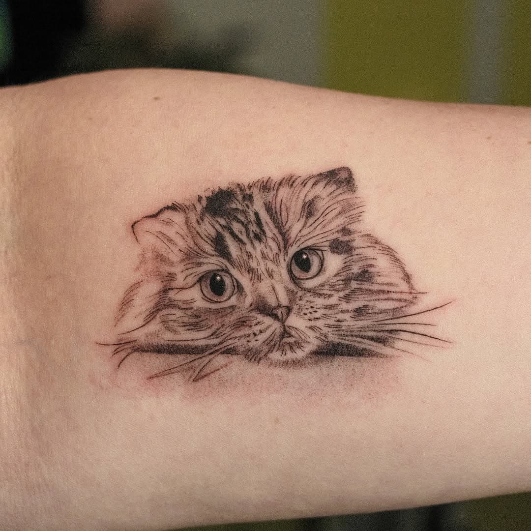 Sweet Maggie was a Scottish Fold who crossed the rainbow bridge wayyyyy too soon at 3 years old 💔 This is based off a photo of her where she had her little chin resting on the kitchen counter, watching her mom cook. Cats are perfect