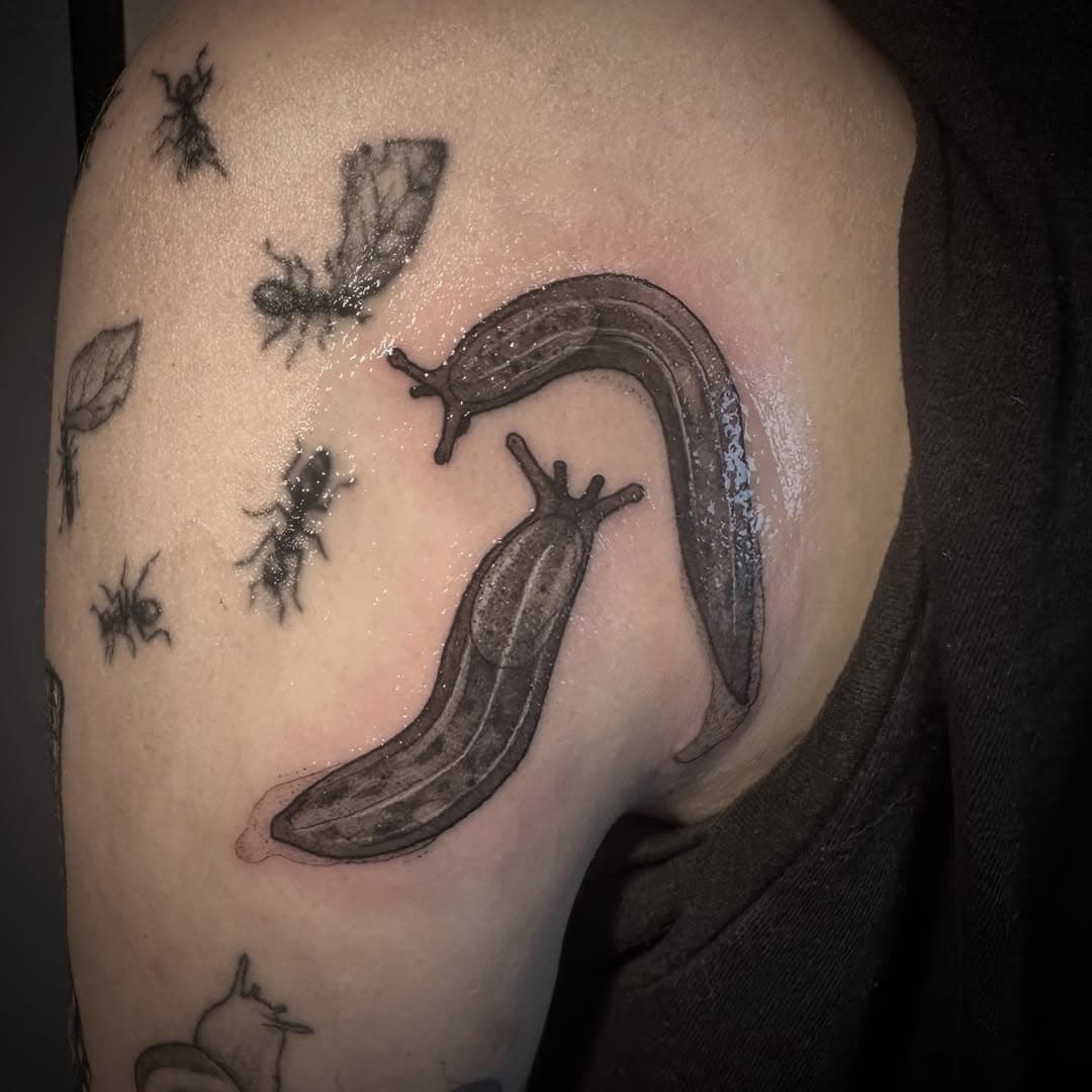 Sluggies for Amber, Thankyou for the fun day! 
.
.
.
.
#insecttattoo #tattoo #blackworkartists #dynamicink #gapfiller #illustrativetattoo #uktattoo #art #ink