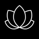 Ｌｏｔｕｓ